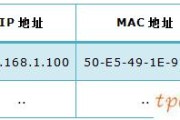 tplinkwifi怎么开启arp防护