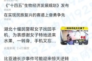 手机浏览器输入记录怎么删除？